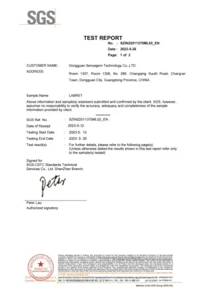 Sensagem SGS Report_1